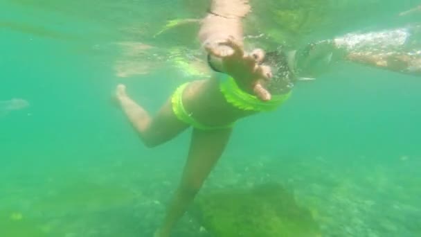 Tourist Girl Woman Snorkeling Wear Snorkel Mask Dive Underwater Fishes — Stock Video
