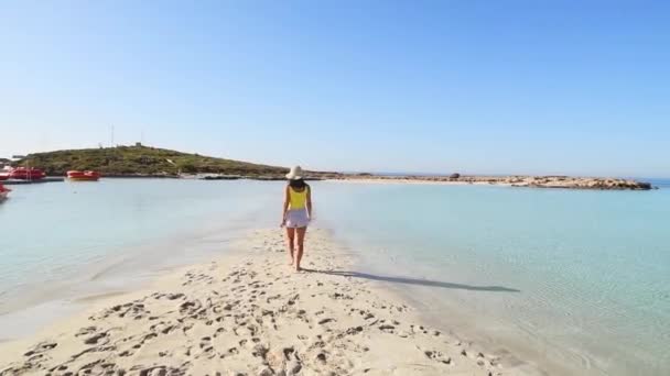 Arkadan Bakan Kadın Turist Kıbrıs Taki Güzel Nissi Plajında Yürüyor — Stok video