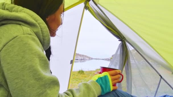 Thoughtful Woman Hold Camping Mug Drink Green Tent Outdoors Nature — Stok video