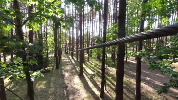 リトアニアのパランガ 2023年 夏にモミの木の森のジップラインに沿って滑り若い女性の女の子 リトアニアアドベンチャーパーク Hbh — ストック動画