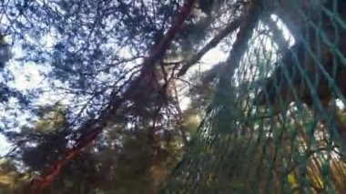 Ağır çekimde güvenlik halatıyla atlayan sporcu macera parkında güvenlik ağına atlıyor ormandaki ağaç platformuna tırmanıyor. Macera, Litvanya 'da ekstrem sporları parketti