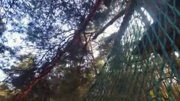 Человек Замедленной Съемке Безопасностью Прыгает Страховочной Сетке Парке Приключений Взбирается — стоковое видео