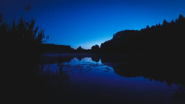 Голубая Ночная Сцена Панорамой Озера Растениями Высокой Травы Перед Восходом — стоковое фото