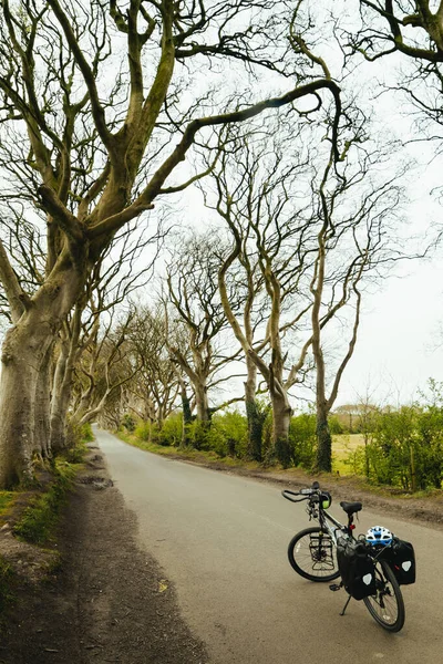 Bicycle Stand Dark Hedges Διάσημο Ταξιδιωτικό Προορισμό Στη Βόρεια Ιρλανδία — Φωτογραφία Αρχείου