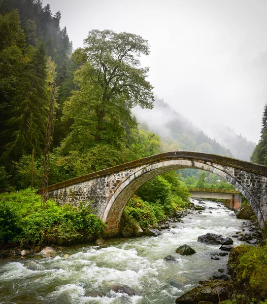 Osmanische Brücke Über Den Fluss Bach Firtina Einem Nebligen Sommertag — Stockfoto