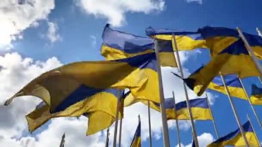 AB 'de Ukrayna bayrakları, Rus işgalcilere karşı özgürlük mücadelesinde dayanışma işareti. Mavi gökyüzüne karşı. Slava Ukrayna