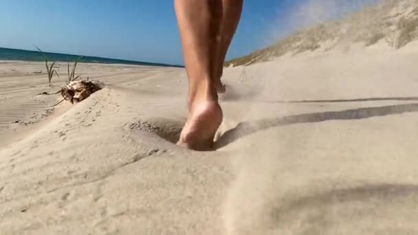 천천히 움직이는 매크로를 수없는 여성은 해변에서 햇볕이 내리쬐는 이국적 해변을 — 비디오