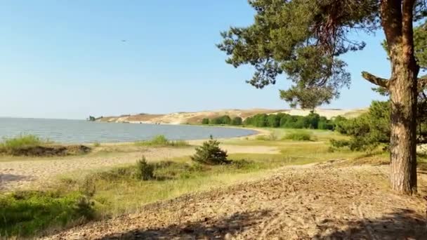 Bela Paisagem Cuspir Curoniano Verão Com Costa Baltic Mar Duna — Vídeo de Stock