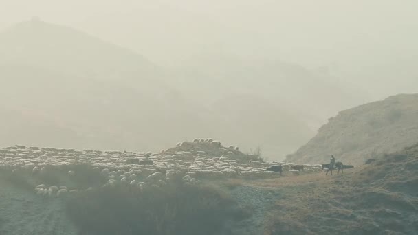 Стадо Овец Сельской Местности Грузии Окружено Живописным Горным Ландшафтом Туманное — стоковое видео