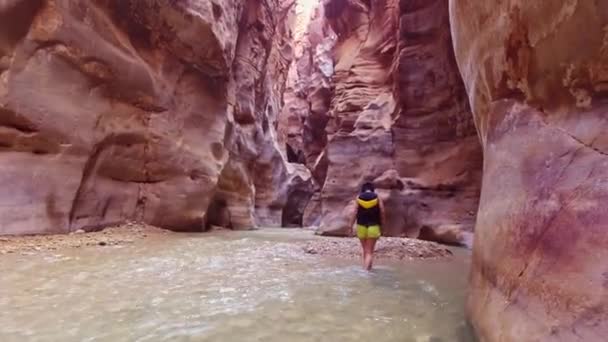 Turista Femenina Camina Agua Famoso Cañón Del Río Wadi Mujib — Vídeo de stock