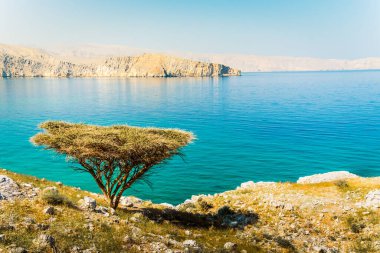 İran Körfezi 'ndeki güzel güneşli Umman manzarası turkuaz deniz suyu, Merillas adaları arka planı. Yürüyüş güzergahları ve bitkiler.