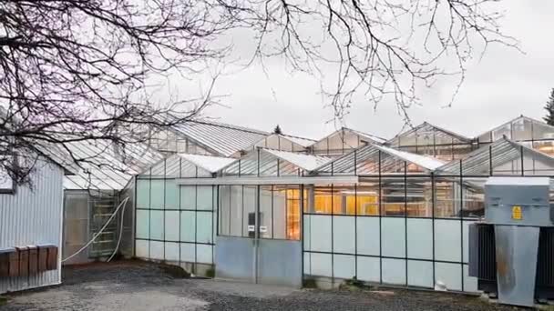 Sur Islandia Marzo 2023 Edificio Invernadero Tomate Desde Exterior Fridheimar — Vídeo de stock