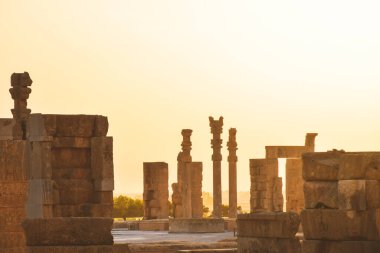 Persepolis, İran - 8 Haziran 2022: Antik Achaemenid krallığının başkenti Persepolis 'te güzel bir gün doğumu. Eski siteler sütunları. Antik Persia. Meşhur seyahat yeri.