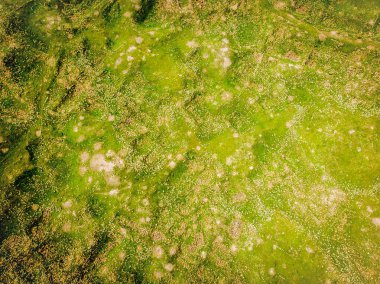 Ani hava manzarası arkeolojik alan dokularını ve yolları mahvediyor. Ermeni kültürü ve tarihi mirası. İpek yolu