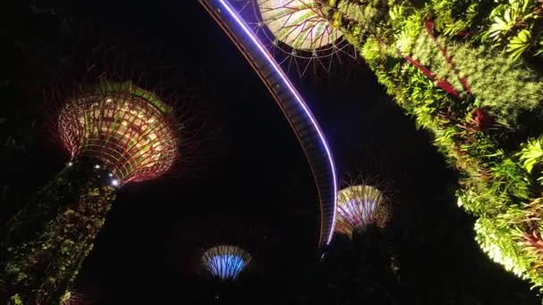 Singapore Singapore April 2024 Statisk Timelapseutsikt Super Tre Park Marina – stockvideo
