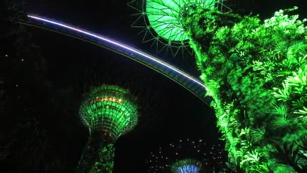 Сінгапур Сінгапур Квітня 2024 Року Статичний Вигляд Парк Супер Дерево — стокове відео