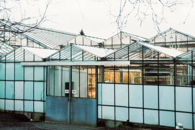 Güney İzlanda-2 Mart 2023: Dışarıdan domates sera binası. Fridheimar - ziyaretçi dostu domates çiftliği. Altın çember üzerinde ünlü bir seyahat noktası.