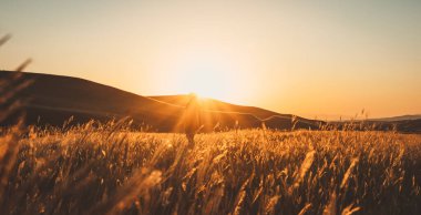 Gün batımında Meadow Field 'da dönen kız siluetinin havadan kopyası. Özgürlük yaz seyahati kavramı