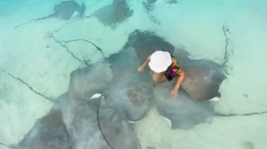 Havadan aşağı bikinili beyaz kadın Maldivler 'deki Fulidhoo Adası plajında yüzüyor ve vatozlara dokunuyor. Tatil yeri aktiviteleri