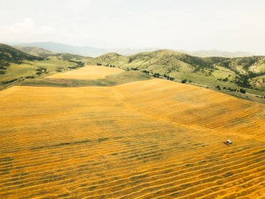 Hava manzarası yazın Georgia Kafkasya dağlarında hasat makinelerinden birini kapatıyor. Shulaveri köyü. Avrupa konseptinde mevsimlik mahsul ve tarım