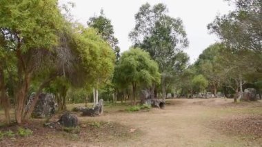 Kavanoz Ovası 3.Laos Ormanı. Megalitik arkeolojik manzara, tepedeki vadilere saçılmış binlerce taş kavanozdan oluşur. Alt eteklerin merkezi ovası Xiangkhoang Platosu.