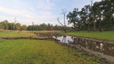 Kuşlar ve benekli geyikler Chitwan Ulusal Park Ormanları 'ndaki Kamal Taal Gölü' nün yanından geçiyor. Tampon bölge kuşları gözlem noktası. Nepal 'in ünlü seyahat yeri