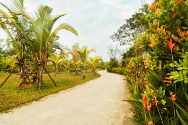 Asya tropikal kırsal ada köyünde virajlı düz yol. Etrafı tropikal doğa flora kopyalama alanı ile çevrili.