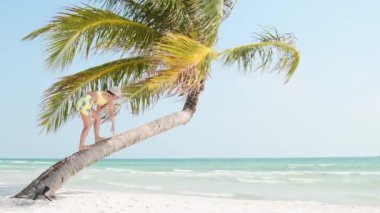 Güzel beyaz kadın tropikal ada sahillerinde yalnız başına palmiye ağacına tırmanıyor. Tatil tatili aptalca ve eğlenceli oluyor. Turkuaz okyanusla uzaklaşmak.