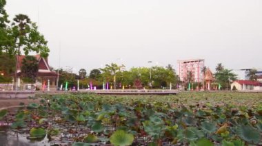 Kampot, Kamboçya - 15 Nisan 2024: Lotus göleti ve Krong Kampot 'a park. Ünlü şehir turu cazibesi. Kampot 'taki nilüfer göleti, ziyaretçilerin binlerce nilüfer çiçeğini gördüğü sakin bir vahadır.