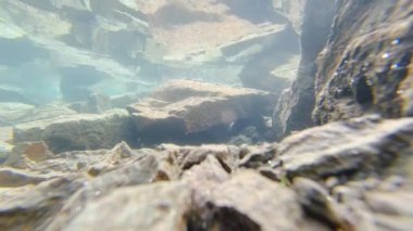 Bir adam temiz, soğuk bir Alp gölünden gelen su ile ellerini ve yüzünü yıkıyor. Suyun altında çekim yapmak yaratıcı bir bakış açısı