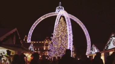 Vilnius, Litvanya - 30 Kasım 2024: Xmas pazarından alışveriş yapan ziyaretçilere yakınlaş Vilnius şehrindeki güzel Xmas ağacını gör - 2025 Noel 'inin Avrupa başkenti