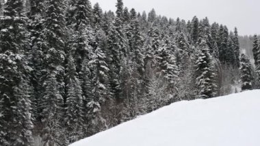 Şehir turu sırasında kar arabasıyla derin kar tozlarıyla gezmek. Ekstrem spor maceraları, kış tatili boyunca açık hava aktiviteleri kayak dağları tatil beldesinde.
