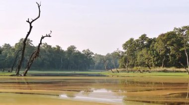 Chitwan Ulusal Parkı 'nda hayvanlar serbestçe dolaşırken Chitwan Ulusal Parkı' nda 4K zaman dilimini yakınlaştırın. Nepal 'deki ünlü safari merkezi. Asya 'da vahşi turlar ve vahşi yaşam kavramları