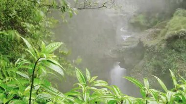 Davi 'nin şelalenin zaman aşımı panoraması. Davis, Pokhara 'da ünlü bir dönüm noktası haline gelir. Ünlü gizemli şelale Nepal. Nepal 'de eşsiz bir jeolojik alan gizli mücevher