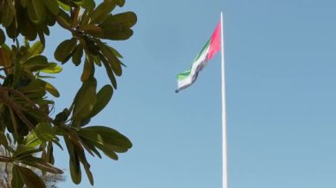 BAE ulusal bayrağı rüzgarda sallanıyor, gurur, birlik ve Emirliklerin ruhunu sembolize ediyor. İkonik arkaplan ya da açık gökyüzüne karşı güçlü bir ulusal amblem