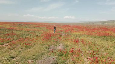 Doğaya ve dinginliğe dalmış gelincik tarlasında tek başına yürüyen bir kız. Canlı kırmızı çiçeklerle çevrelenmiş olan sahne, duygusal iyileşme, farkındalık ve kişisel refahın temalarını aktarıyor.