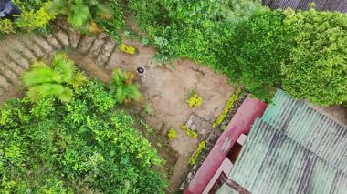 Havadan aşağıya tepeden bakan hippi kadın yeşil evin içinde huzur içinde dolaşır. Çevresindeki yemyeşil doğal ortamlara yerleşir. Dışardaki izolasyon evi. Sürdürülebilir Yaşam, Eko Bilinçli Yaşam