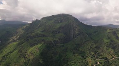 Büyüleyici hava manzarası ikonik Ella Kayası Sri Lanka 'daki yemyeşil tepeler ve çay tarlaları üzerinde görkemli bir şekilde yükseliyor. Adams 'ın Ella Rock' a bakış açısı