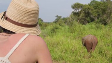 Beyaz bir kadın safari turlarında 4x4 açık çatı aracında oturuyor. Dambulla yakınlarındaki Sri Lanka 'daki tropikal yaban hayatı parkında vahşi filleri izliyor.