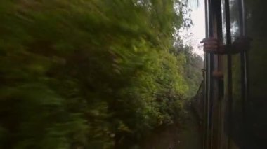 Mutlu yolcu kadın turist kapının önünde durup popüler tren yolculuğunun tadını çıkarın. Ella 'ya Kandy ve Sri Lanka' nın bereketli orman manzaralarına hayran olun. Özgürlük, merak, merak ve sükunet kavramını benimse