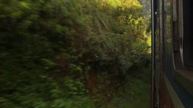 Ella 'dan Kandy Olay Yeri İnceleme' ye yolcuların bakış açısından yavaş hareket eden mavi trenin, POV 'un açık kapısından geçen yemyeşil tropikal doğayı izliyor.