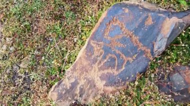Petroglyph oymacılığı yapan hayvanları kapatın. Saymaluu-Tash.Petroglyph sitesi, ulusal park, Celal-Abad, Kırgızistan. Kazarman. Antik insanlar sanat eserlerini simgeliyor. UNESCO 'nun Saimaly-Tash Petroglifleri Kalıcı Listesi