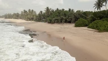 Havadan bakan kadın turist Tangalle kumlu sahillerinde ve kayalık sahillerde, Hint okyanusu sularında ve Sri Lanka 'nın güney sahillerinde sallanan palmiyelerde yürüyor.