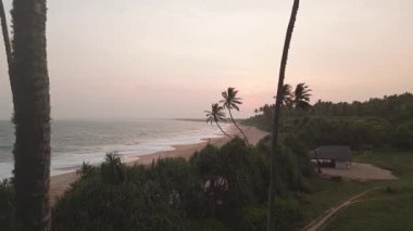 Sri Lanka 'nın güney kıyısındaki Kaplumbağa Sahili üzerinde yükselen hava manzarası var. Altın günbatımı ışığı. Titreyen palmiye ağaçları, narin dalgalarla romantik kıyıları gözler önüne seriyor.