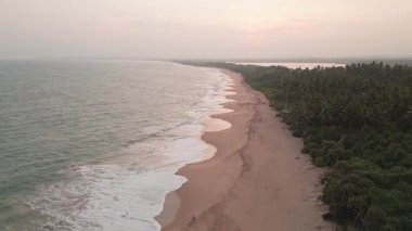 Sri Lanka 'nın güney kıyısındaki Kaplumbağa Sahili üzerinde yükselen hava manzarası var. Altın günbatımı ışığı. Titreyen palmiye ağaçları, narin dalgalarla romantik kıyıları gözler önüne seriyor.