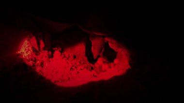 Gece vakti Sri Lanka Rekawa Sahili 'nde yumurtlayan yeşil deniz kaplumbağası kızıl ötesi ışıkla aydınlatılıyor. Popüler cazibe kaplumbağa izleme aktivitesi, rehberli kaplumbağa izleme turları.