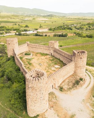 Niakhura Kalesi olarak bilinen havadan yükselen Chailuri Kalesi, doğu Gürcistan 'da kısmi kuleleri ve kalın taş duvarları olan bir ortaçağ kalesi olarak duruyor. Üzüm bağlarıyla çevrili Sagarejo bölgesi
