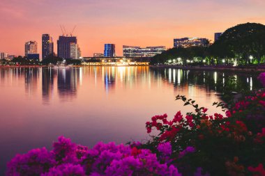 Bangkok 'un modern gökyüzü manzarası Benjakitti Parkı gölüne yansıdı, ön planda canlı bougainvillea çiçekleri ve renkli günbatımı gökyüzü