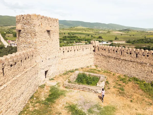 Hava manzaralı turist Chailuri Kalesi ya da Niakhura Kalesi 'ni geziyor. Doğu Georgia. Kısmi kuleleri ve kalın taş duvarları olan ortaçağ kalesi. Üzüm bağlarıyla çevrili Sagarejo bölgesi