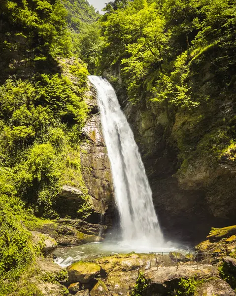 Ninoskhevi Şelalesi 'nin havadan görünüşü yemyeşil ormandan geçerek Lagodekhi Korunaklı Bölgeler, Georgia' daki kayalık bir havuza dönüşüyor.